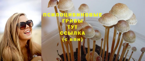 a pvp Беломорск