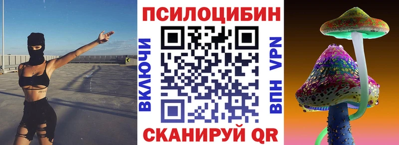 сколько стоит  Абакан  Псилоцибиновые грибы Psilocybine cubensis 